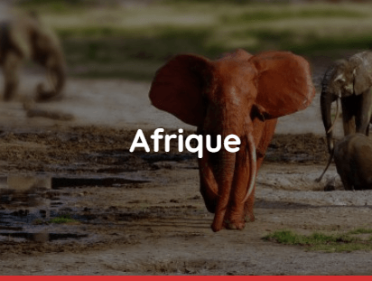 Afrique