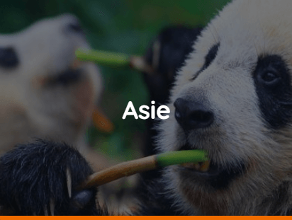Asie
